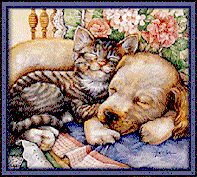 Kitty & Doggie